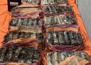 Holandija: Na brodu iz Kolumbije zaplijenjene 1,4 tone kokaina