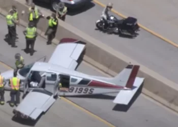 Srušio se avion sa natpisom: HOĆEŠ LI SE UDATI ZA MENE?